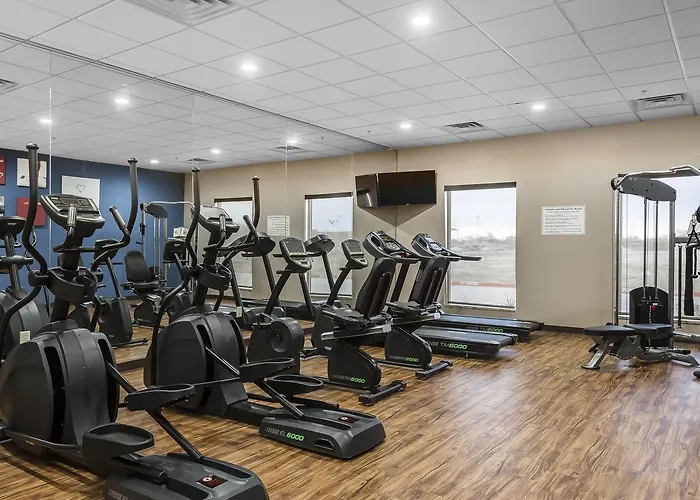 Comfort Suites - University