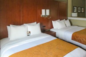 Comfort - 2* Lubbock