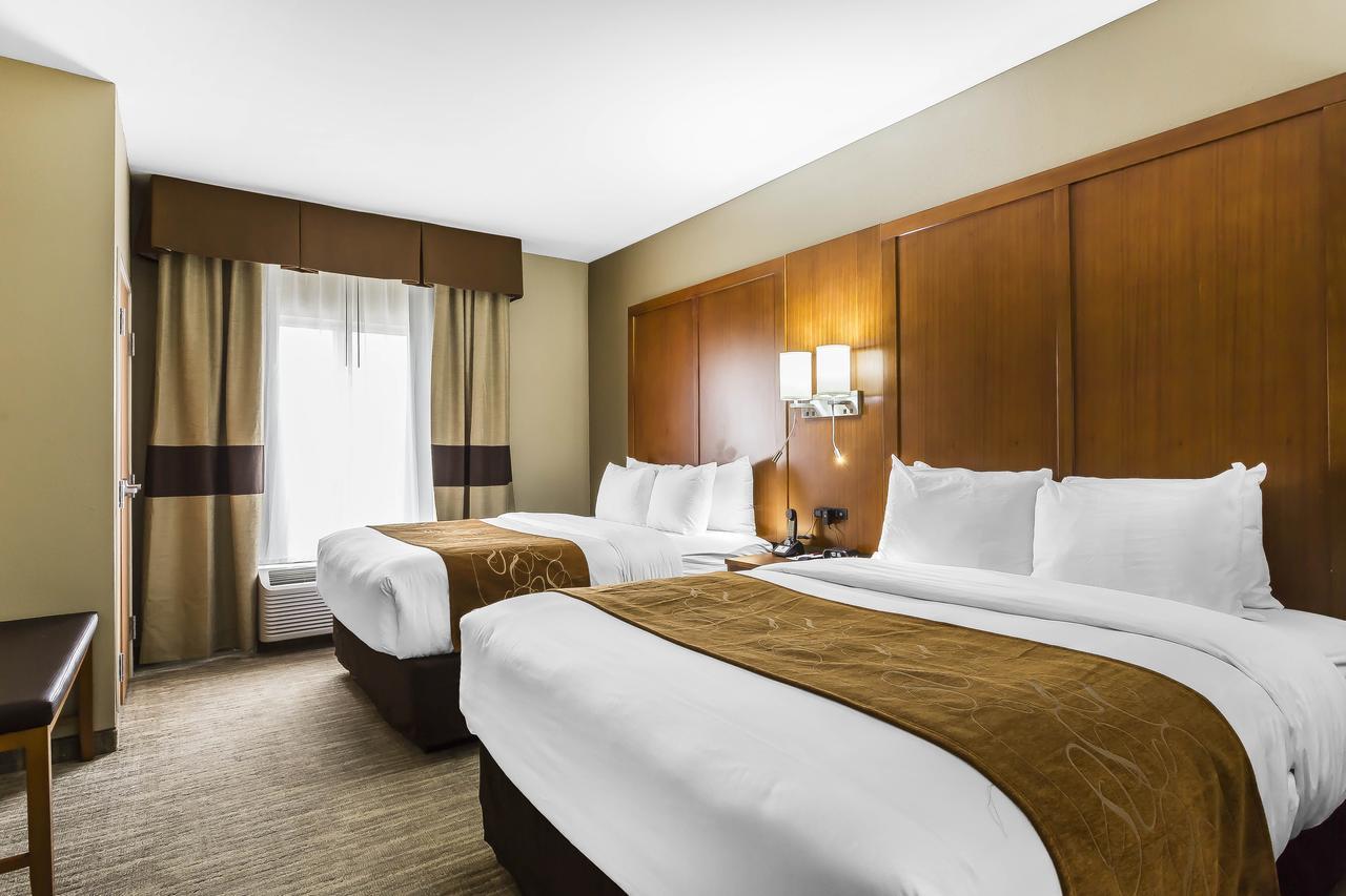 Comfort - Hotel