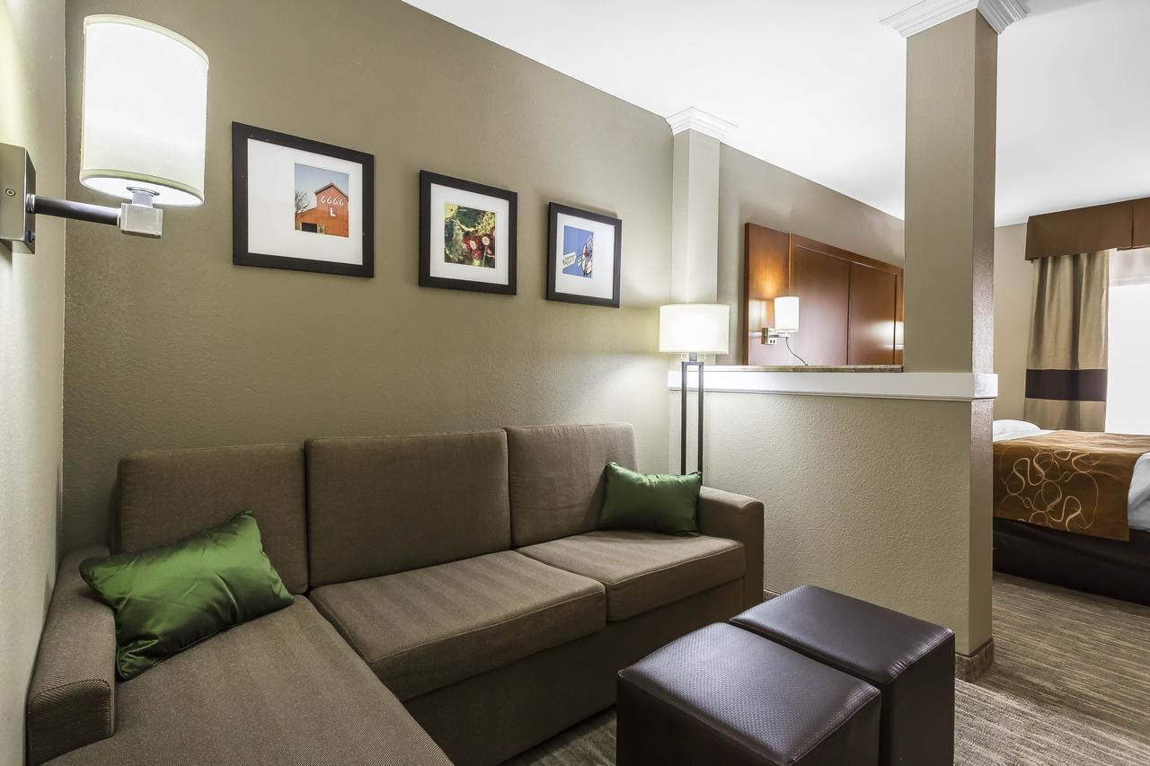 Comfort - University Hotel